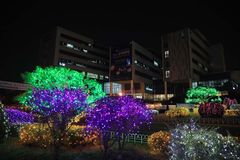 한남대, 2022년 성탄트리 점등식