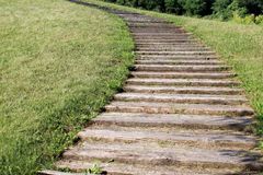 장수의 최고 비결