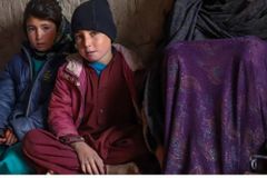 월드비전,  보고서 발간