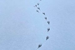 [신앙 에세이: 삶과 사랑] 누굴까