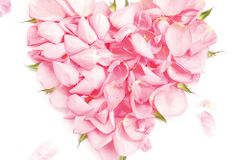 [신간] 동산의 샘