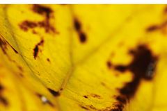 [신간] 예수 그리스도의 마음으로