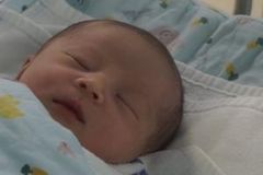 할아버지 되던 날