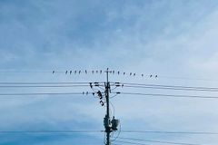 [신앙 에세이: 삶과 사랑] 동고동락