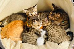 [신앙 에세이: 삶과 사랑] 존재만으로