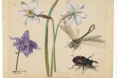 “우리 눈에 아름답다. 하나님께서 하시는 일!”