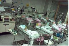 韓 출산율, OECD 꼴찌… 280조 쓰고도 막지 못한 '인구절벽'