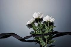 [시니어 칼럼] 죽음은 삶의 동반자입니다