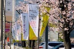 “‘부활 소망’의 말씀 깃발로 온 국민에게 사랑과 평안을”