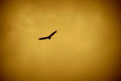 혼자 있을 때도, 하나님만을 바라보고 갈망하는가?