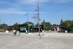 비현실적 신화 같은 트로이 전쟁 이야기