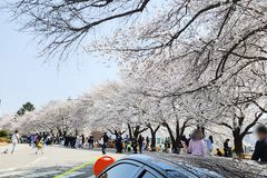 [전도편지] 종려주일 틈새전도를 진행했습니다