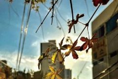 박병호 시인, 「보이지 않는 것들에 대하여」 시집 발간