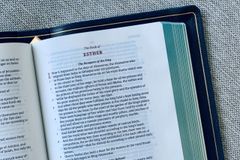 에스더서의 역사성에 대하여