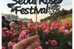 “스마트폰 잠시 닫고, 함께 걸어요”