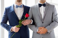 브라질 동성혼, 전년대비 20% 증가… 합법화 이후 최고치