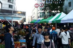 국내 외국인 주민 246만 명 돌파… 총인구 4.8% 차지
