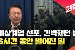 비상계엄부터 탄핵까지 “비판을 받지 아니하려거든, 비판하지 말라”