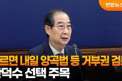 “민주당, 권한대행 거부권은 안 되고 헌법재판관 임명은 된다?”