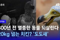 AI도 해결할 수 없는 자연의 역설: 멸종과 복원