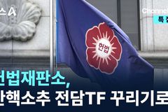 헌법재판소, 재판관 대신 TF팀? 사법부 독립성 위협 우려