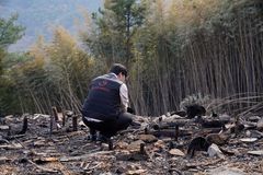 굿피플, 80주년 식목일 맞아 산불 피해 지역 숲 조성