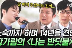 나는 반딧불: 청년들에게 보내는 한 줄기 위로