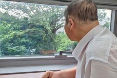 소강석 목사 “저 푸르지만, 아직 연약한 잎새들”