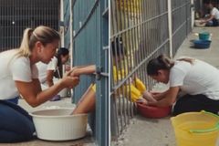 브라질 여성 교도소에서 세족식… “사랑과 존엄의 메시지 전해”