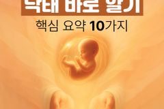 [카드뉴스] 낙태 바로 알기: 핵심 요약 10가지
