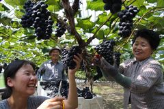 수도권 집중 지속 시 20년 뒤 15개 지역, 경제활동인구 1만 명 미만 전망