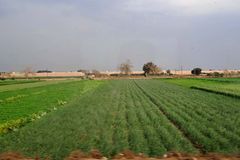 요셉부터 모세까지… 고센 땅에서 대한민국을 생각함