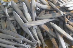 포항 주민과 한동대 학생들, ‘창업 동료’로