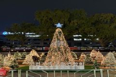인천시, 시민과 함께하는 ‘성탄트리 점등식 및 시민문화축제’ 개최