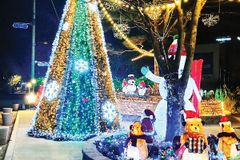 한교봉, 영남 산불 피해 지역에 성탄 트리 설치