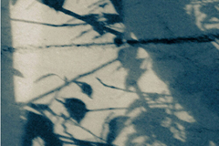 [신간] 거룩한 행운