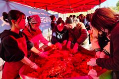 정주국제학교, 중국 현지 교사 300여 명 초청해 ‘김치 담그기’