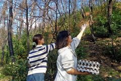 한동대 RISE사업단, 의성 산불 피해지 생태복원 프로젝트 성공적 마무리