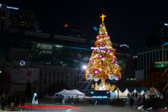 “빛으로 오신 예수 그리스도, 오늘도 우리의 소망”