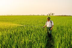 내가 마음에 품는 묵상들, 좀 더 건강하고 아름다웠으면