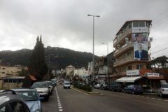 이제 레바논에서도 보기 힘든 ‘백향목’을 찾아서