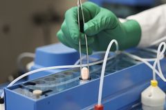 화이자, 월 1회 투여 비만 치료제 임상서 체중 감량 효과 확인