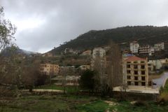 백향목, 레바논 동북쪽 산악 지역에만 소규모 군락 남아