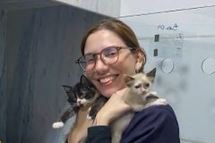 브라질 수의대생, 젠더 이데올로기 반대했다가 징역 10년 위기