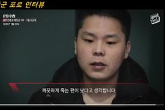 에스더기도운동 2026년 2월 3주차 북한 및 국가 기도제목