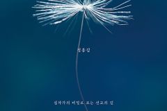 십자가의 비밀로 보는 선교의 길