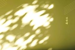 쉽게 풀어 쓴 바울의 은혜 신학