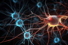 [뇌치유상담/신경신학편(16)] 시냅스 변형, 강화되기도 하고 약화되기도 한다(1)