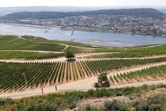 ‘로렐라이’의 시인 하이네, 그리스도인이었을까?