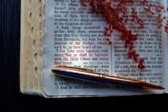 “英 2025 성경 판매량, 전년대비 19% 급증”